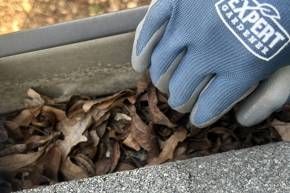 Gutter Cleaning Westwego