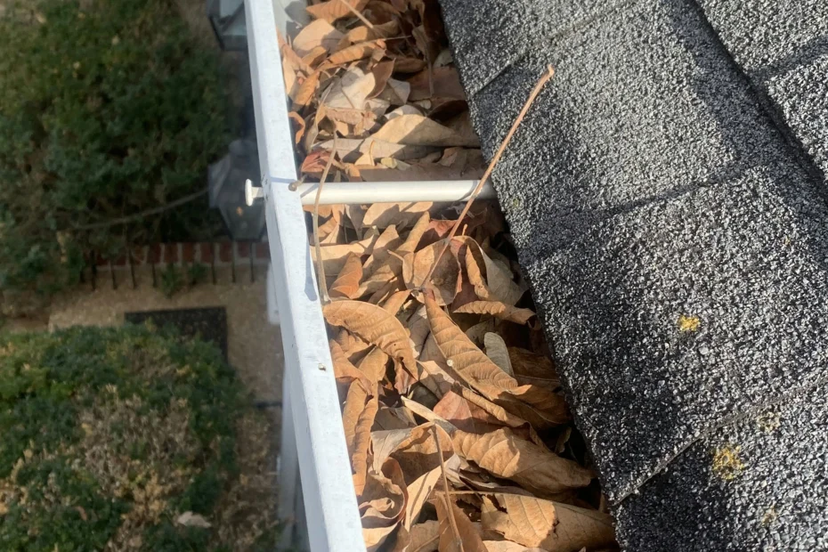 Gutter Cleaning Westwego